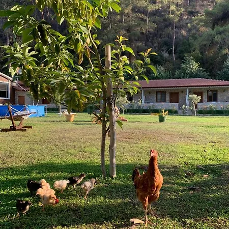 Doga Ciftlik Ξενοδοχείο με διαμερίσματα *